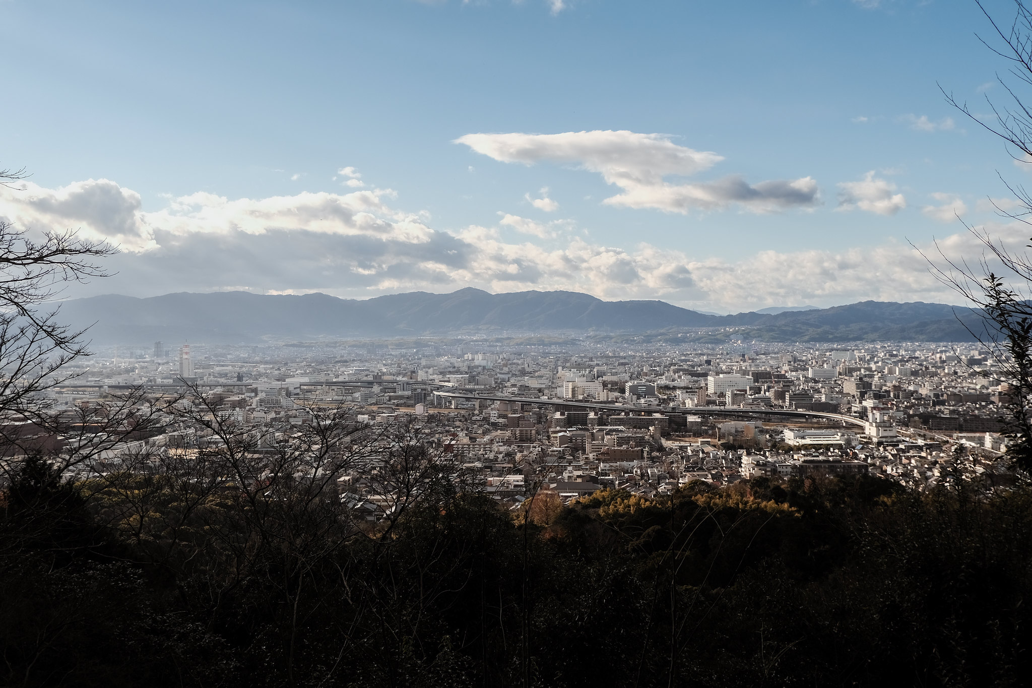 Highlighted photo shot by Dennis Krikke.